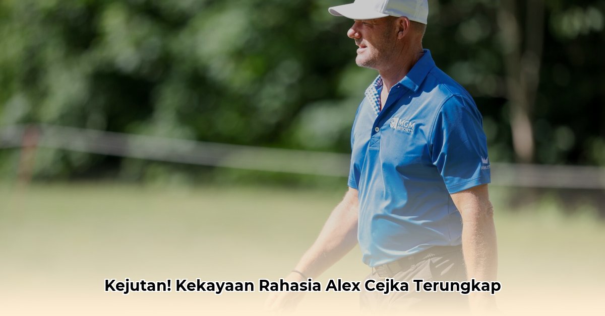 alex cejka net worth